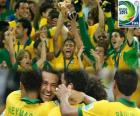 Бразилия, чемпион Кубка конфедераций 2013